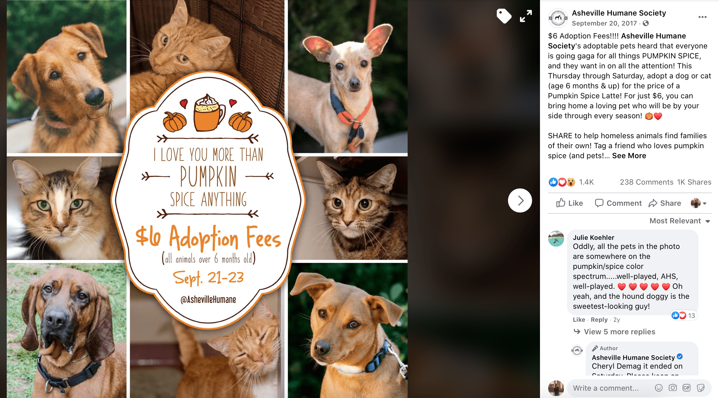 October Social Media Calendar adopt a shelter dog day